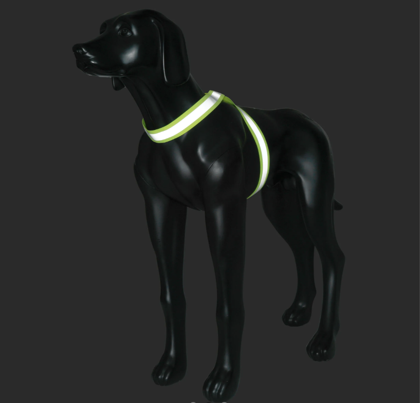 Rukka Pets Note Body Band